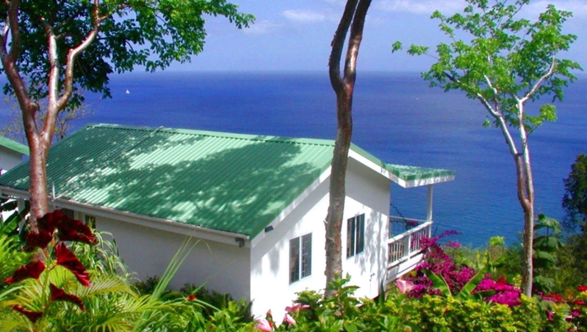 메리고트 베이 Nature'S Paradise B&B 외부 사진